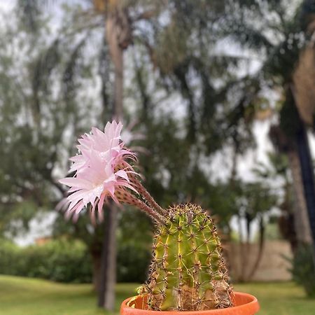 Villa Piruzzu Cv Torre Mulinazzo App P 奇尼斯 外观 照片